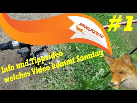 Info Video zum Kanal so wie ein Trick oder Tipp jeden Mittwoch  @angelfuchstv74