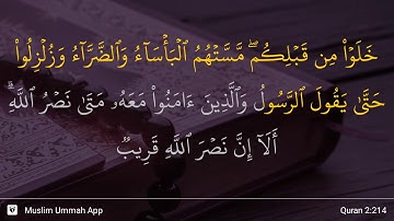 سوره بقره آیه 214