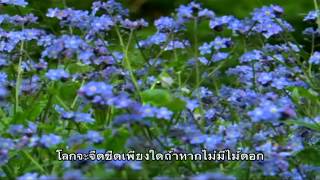 God of Wonders - องค์ผู้อัศจรรย์ (Thai subtitles)
