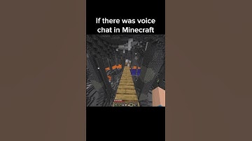 If Minecraft added Voice chat...