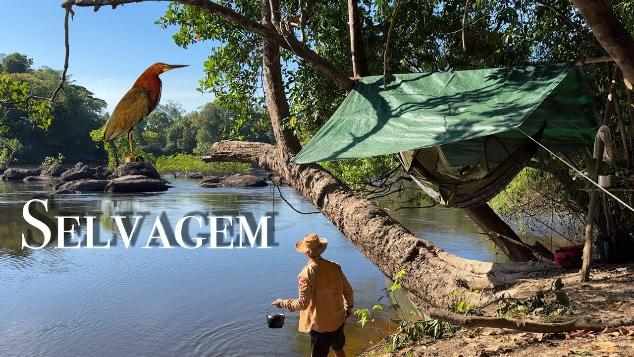 AVENTURA SELVAGEM com PESCARIA e ACAMPAMENTO em meio a FLORESTA AMAZÔNIA teve peixe ASSADO Na brasa