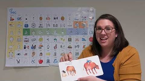 AAC Modeling of I Went Walking with LAMP Words for Life