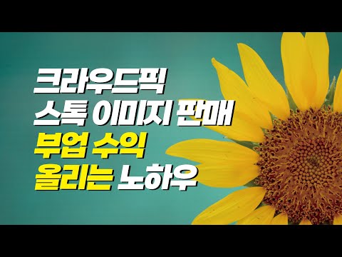   그림 요소 스톡 사진 등 디지털 파일 판매로 돈 버는 사이트 크라우드픽에서 작가가 이미지 판매 수익율 조금 더 끌어올리는 방법