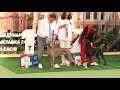 Best in show. Dog Super best. #dog. Выставка собак. Юг-Осень. Одесса. Бэсты. Рідна природа. Лучший.