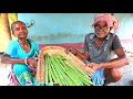 Drumstick soup recipe  village style collecting  making drumstick juice recipe  tribal cooking 