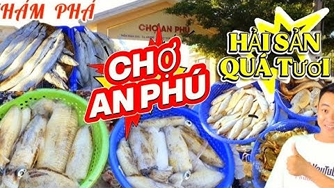 Khám Phá Chợ An Phú Phú Yên – Mực Cá Tươi Roi Rói Vừa Vào Bờ | Biển Long Thủy Bình Minh Tuyệt Đẹp