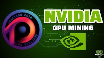 REACTION (RTC) - GPU Mining - GhostRider - NVIDIA - A Step-by-Step Guide