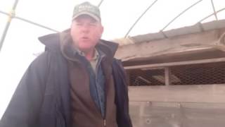 Mark shares about the chicken coop he designed and built for his pasture poultry operation. Mark runs an 80 acre beyond organic 