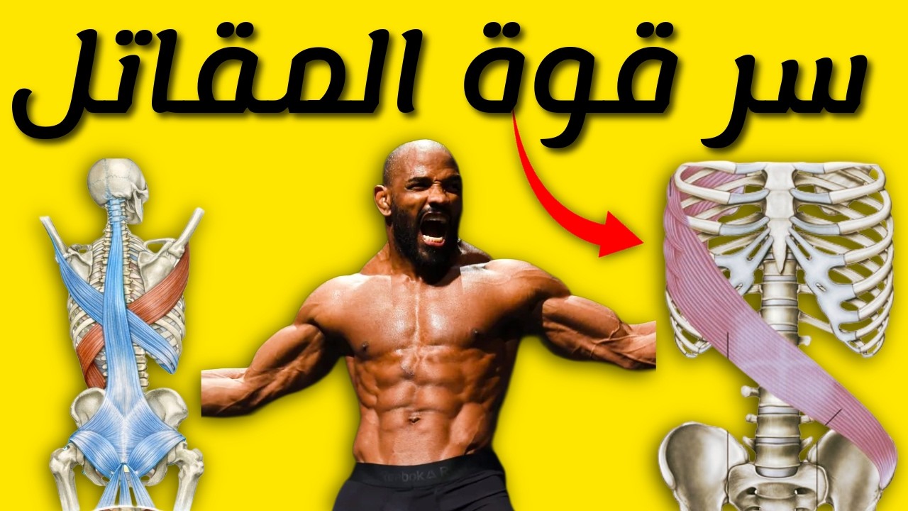 الحاجز بينك وبين قوتك هو الخط دا ...شاهد وطبق فورا | لازم نعرف جسمك | الجزء الخامس