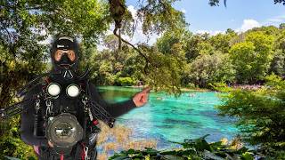 Diving the Clearest River in Florida!! (Underwater ASMR)