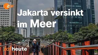 Indonesiens neue Hauptstadt: Mega-Projekt Nusantara | auslandsjournal