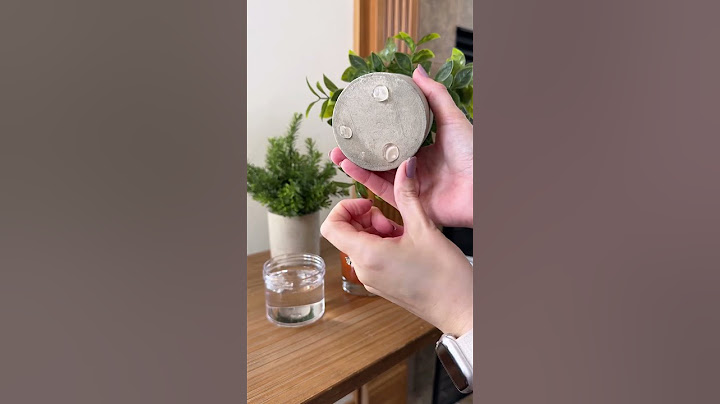 Home hack for moms and pet owners #homehacks #lifehacks #bestproducts #hometips