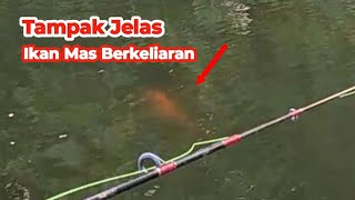 Seperti AQUARIUM ALAM !! Mancing Ikan Nila Babon Babon dan Ikan Mas Tampak Jelas Di Spot Ini