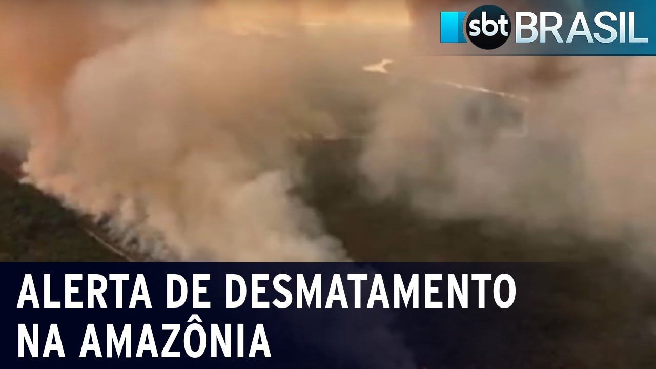 Alerta de desmatamento na Amazônia | SBT Brasil (12/08/22)