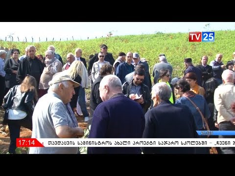 ქართველ მამულიშვილთა კავშირის ინიციატივა