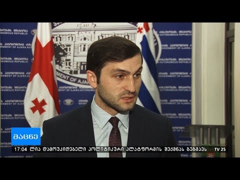 თორნიკე რიჟვაძე: ეს სფერო წლებია ჰქონდათ ნარკობიზნესად ქცეული