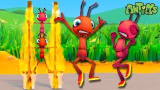 Joey and Boo Aren't Fire Resist-ANT 🧯 | 🐜 Antiks 🐜 | Funny Cartoons for Kids | Moonbug