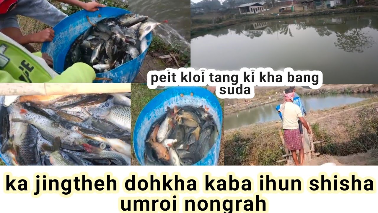 La ibang leit kynjut shisha.Kaba kham pher bad itynnad ka jingtheh dohkha: Umroi nongrah. 300 & 200.