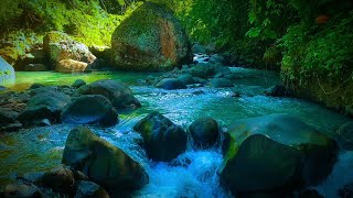 Sleep Instanly with Forest and Waterfall Ambience Nature River Sound to Meditate to Stress Relief