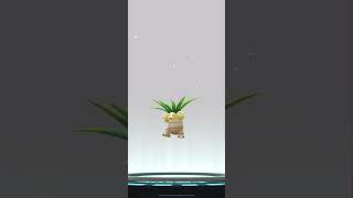 Pokemon Go Evolving 91% Exeggcute Into 91% Exeggutor