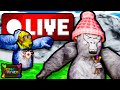 MONKE MAYHEM LIVE