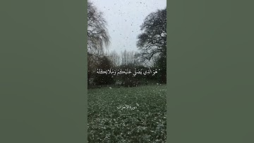 هُوَ الَّذِي يُصَلِّي عَلَيْكُمْ وَمَلَائِكَتُهُ || سورة الأحزاب || علي جابر
