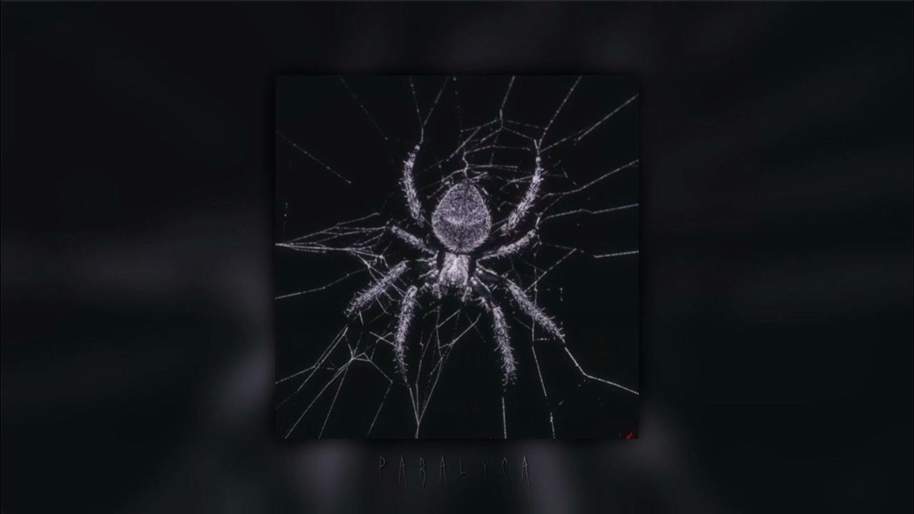 Cleared remix lilithzplugz. Abisicari tik tok. Shiloh dynasty so low. Карооина яникс макияж тик ток. Cleared remix lilithzplugz.