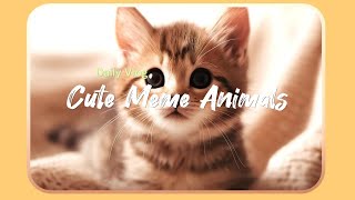 Surprising Facts About Adorable Animal Memes