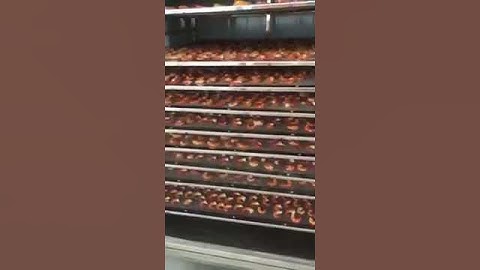 Tôm sấy khô 0963664544 Máy sấy hải sản, tôm khô, cá khô, mực khô giá rẻ