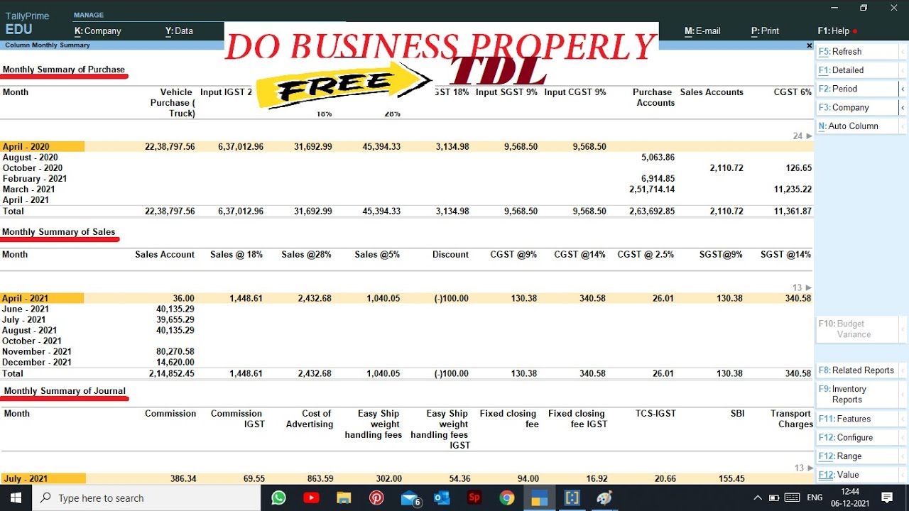 Free TDL Columnar Monthly Summary Learn Well Best Free Tally Prime 
