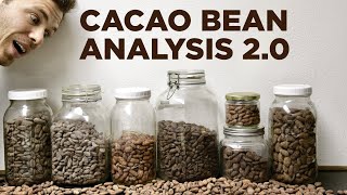 Cacao Bean Analysis 2.0 - Episode 26 - Craft Chocolate TV