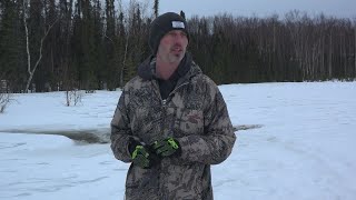 Moose rescued from frozen lake