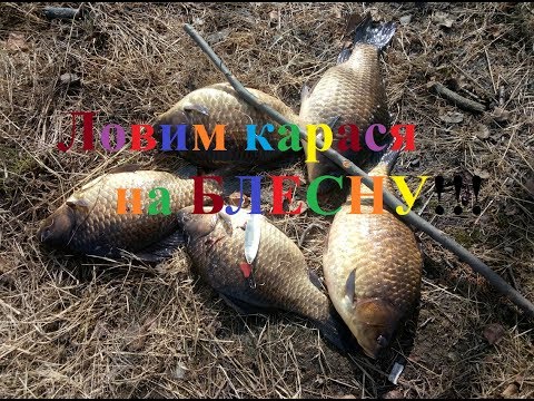 Fishing Ловим карася на блесну Yakutia