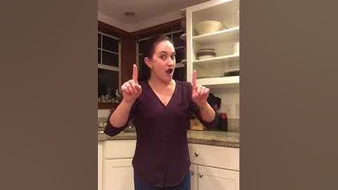 ASL II - Final Video Project