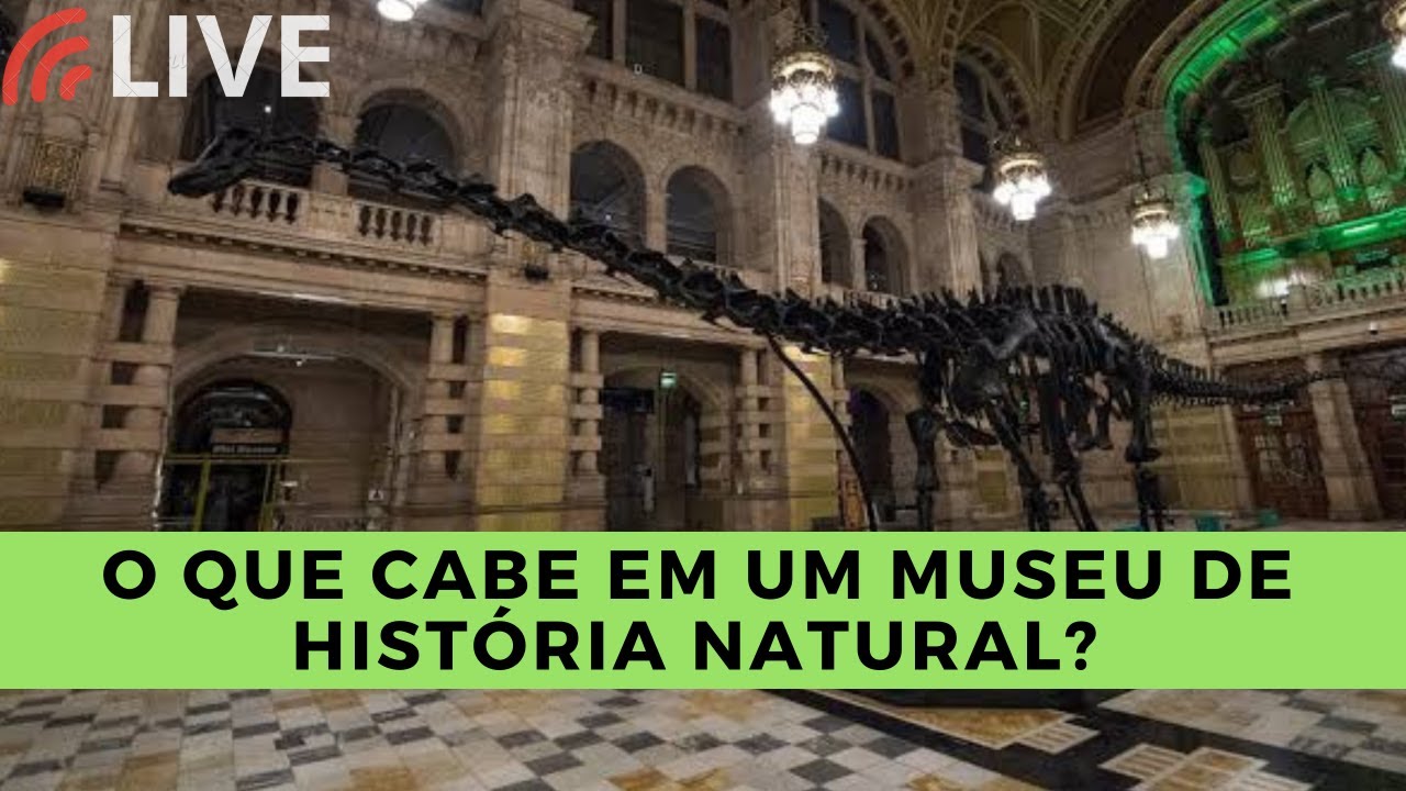O que cabe em um museu de história natural?