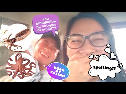 Video: Octopus at pusit: pagkakaiba, larawan