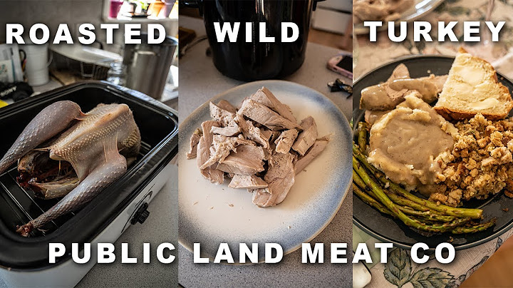 Roasting a Whole Wild Turkey - Spring Thanksgiving! -  Public Land Meat Co