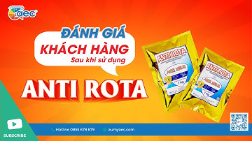 CHIA SẺ THỰC TẾ CỦA KHÁCH HÀNG - Giải quyết tôm chết rải rác với sản phẩm ANTI ROTA| Au My AEC