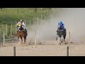 Califórnia vs Desejada Royal - Corrida de cavalos - Teófilo Otoni/MG