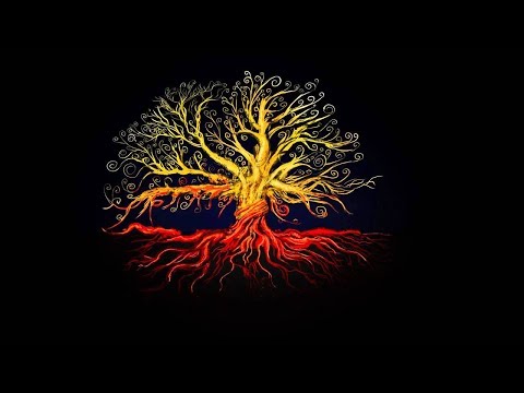 tree of life (ДРЕВО ЖИЗНИ) camera iphone 8 plus apk