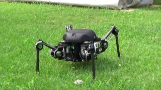 TITAN-XIII : Sprawling-type Quadruped Robot