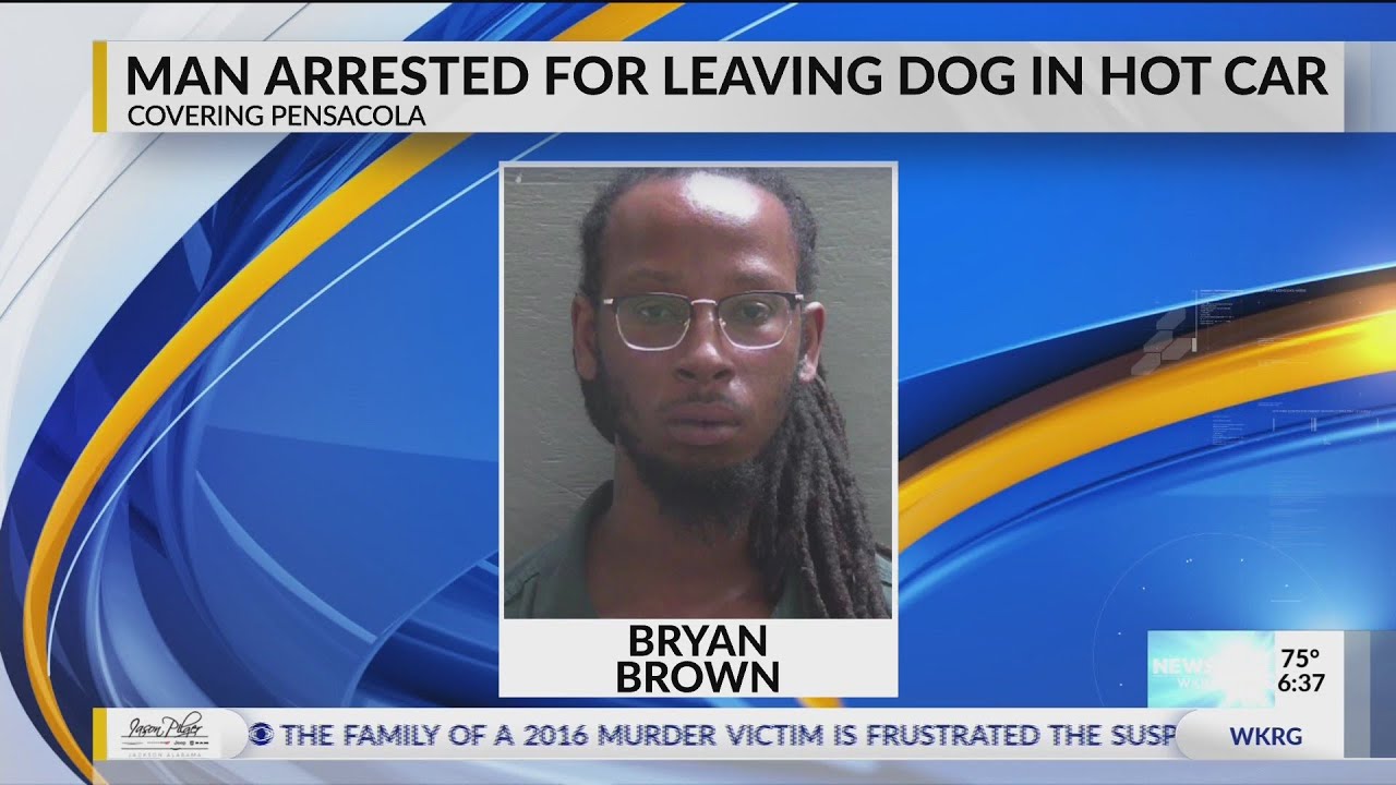 Man arrested for leaving dog in hot car - YouTube