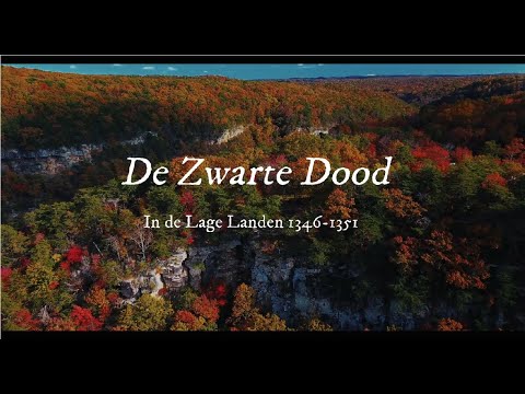 De Zwarte Dood in de Lage Landen - 1346-1351