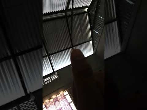 Bodo X Video