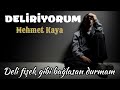 Mehmet kaya delryorum 2022