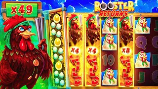 Download Lagu ROOSTER'S REVENGE PAID INSANE?! (Biggest win) MP3 Download Lagu ROOSTER'S REVENGE PAID INSANE?! (Biggest win) MP3