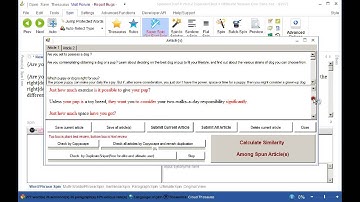 SpinnerChief 6 Tutorial - How to rewrite a lot of articles fast!