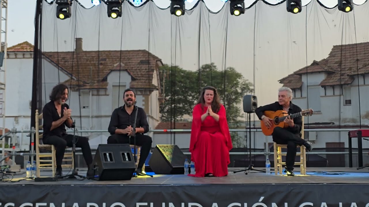 Filo de los Patios, Buleria por Solea 20/06/2025