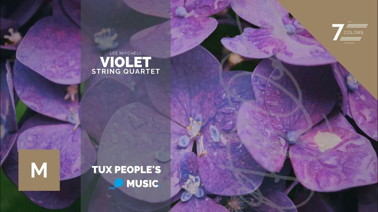 Violet (String Quartet) Lee Mitchell YouTube