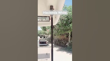 Thumbnail of Hacienda White,North Coast, Egypt #music #shorts